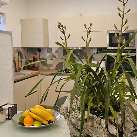 Katija By Guide 察夫塔特