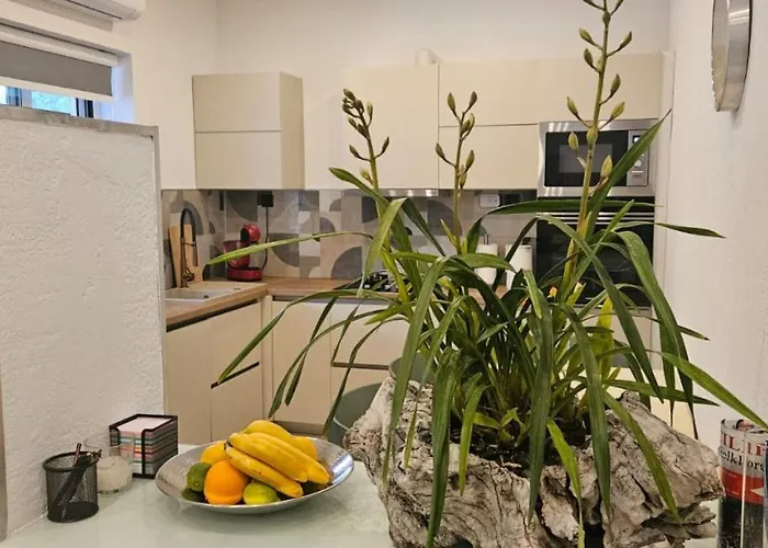 Katija By Guide Cavtat